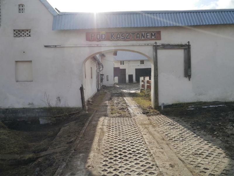 Pod Kasztanem Gospodarstwo Agroturystyczne Stronie Śląskie Exterior foto